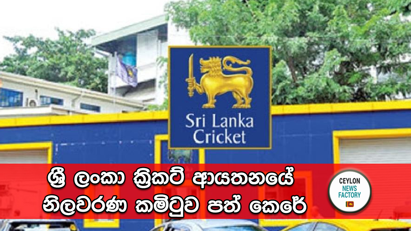 Sri lanka cricket