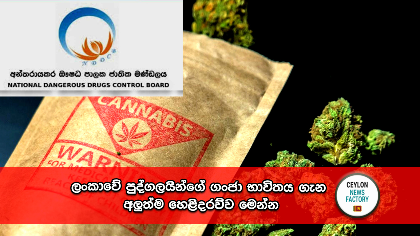 ගංජා භාවිතය