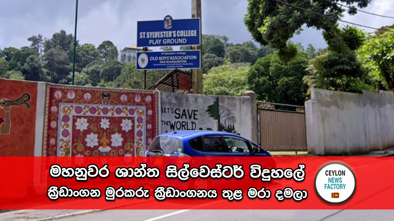 මහනුවර ශාන්ත සිල්වෙස්ටර් විදුහලේ ක්‍රීඩාංගන මුරකරු