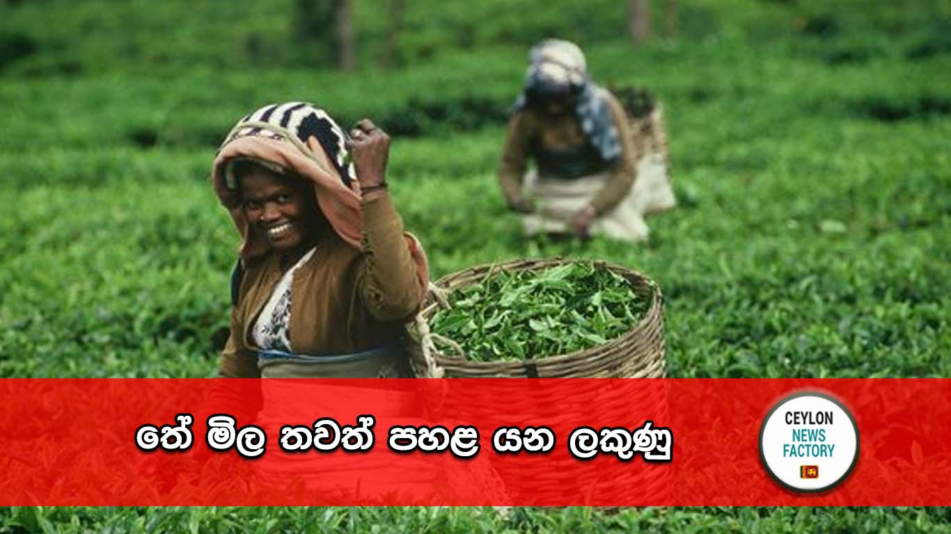 තේ මිල