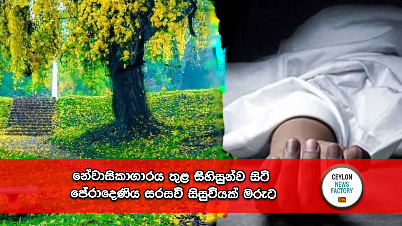 පේරාදෙණිය සරසවි සිසුවියක්