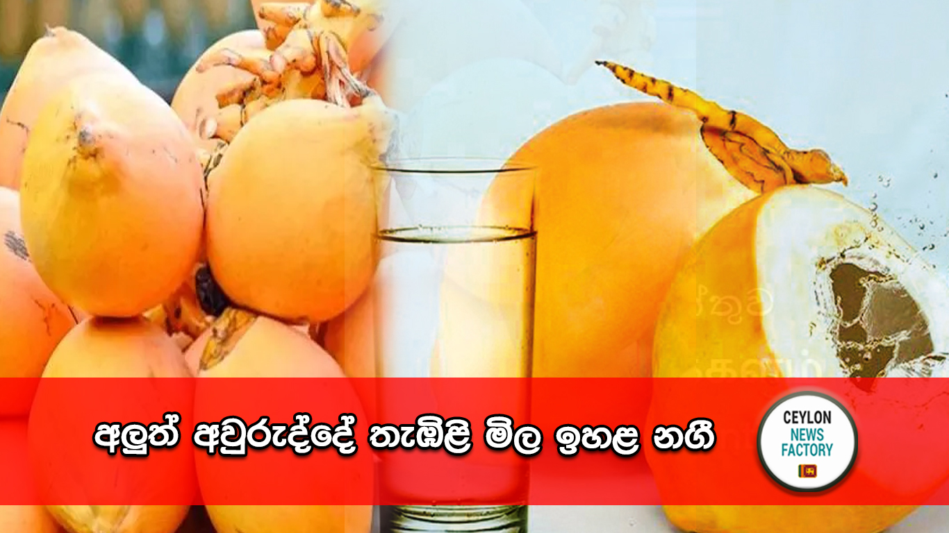 තැඹිළි