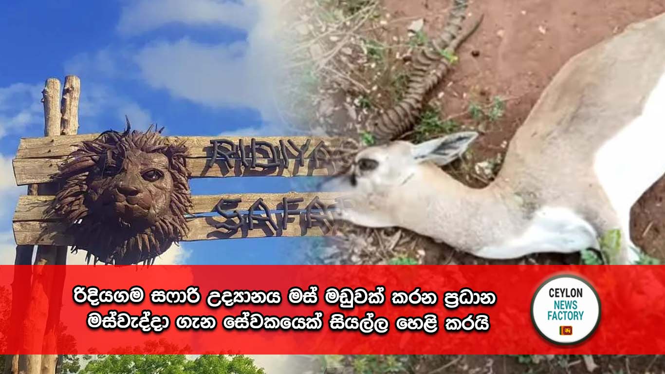 රිදියගම සෆාරි උද්‍යානය