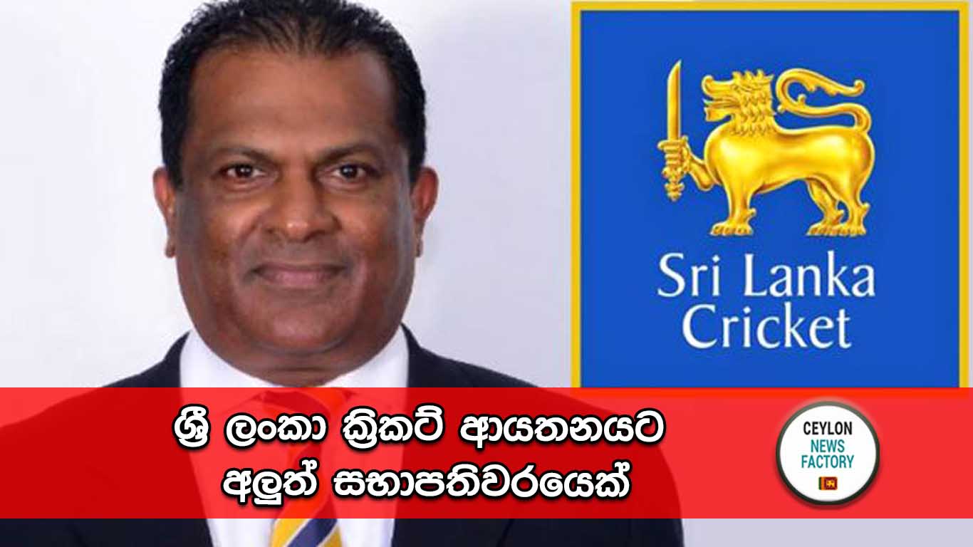 ක්‍රිකට්