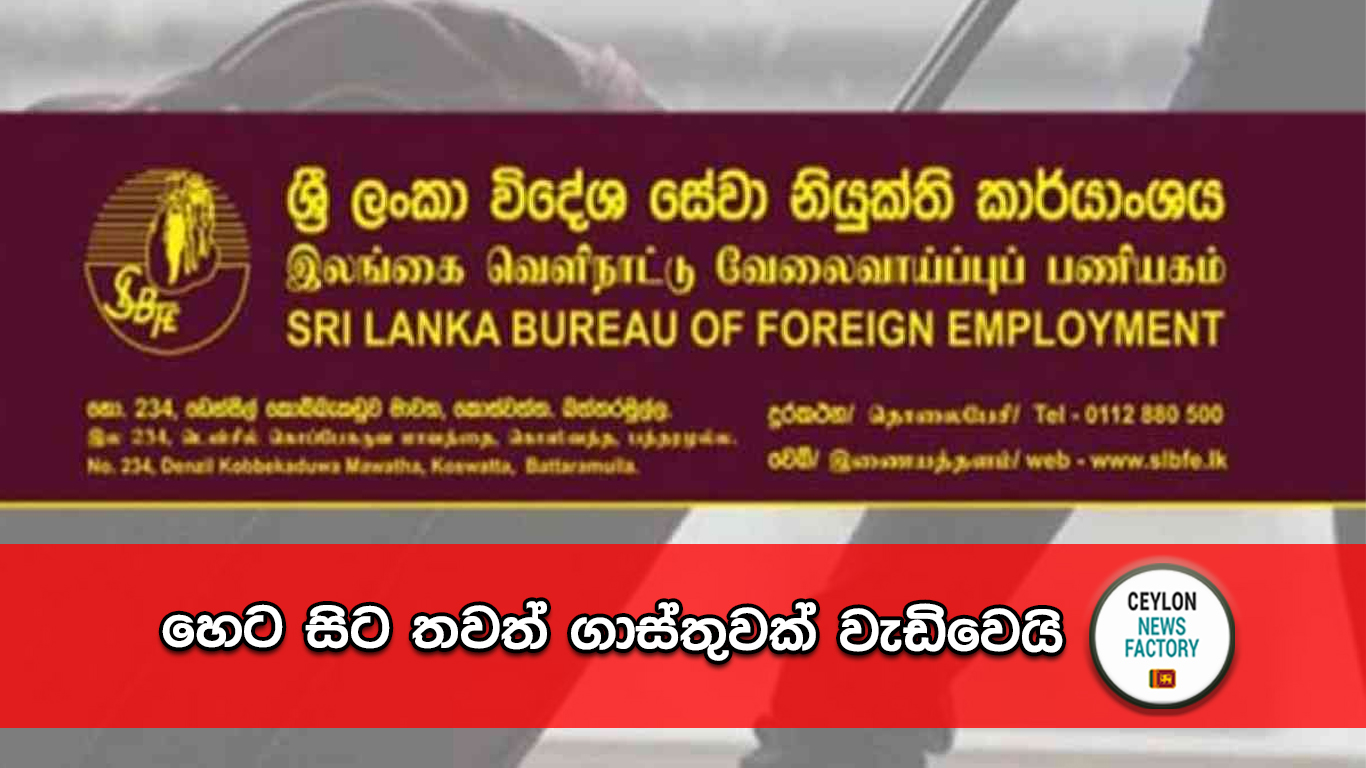 ශ්‍රී ලංකා විදේශ සේවා නියුක්ති කාර්යාංශයේ ගාස්තු