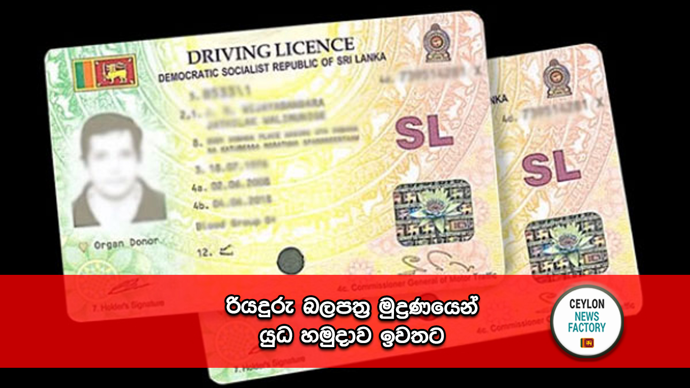 Driving Licenses