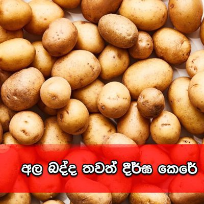 Potato Tax