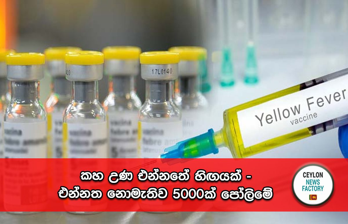 Yellow-Fever-Vaccine