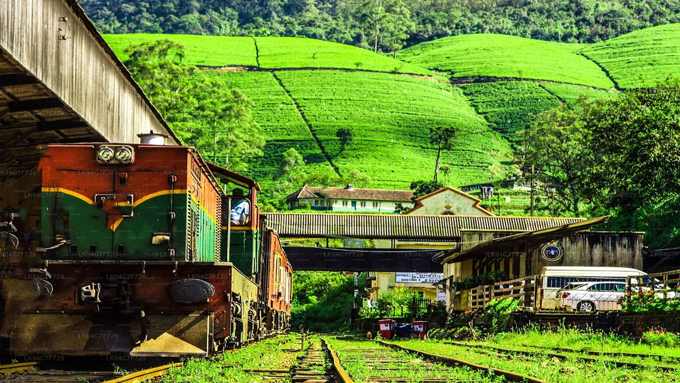 Nanu-Oya-Railway-Station